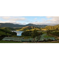 Destiny The Farmstay