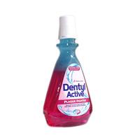 dentyl mouthwash 500ml clove