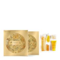 declor merry oils kit