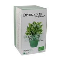 Destination Org Infusion Spearmint 20 Sachet (1 x 20 sachet)