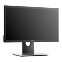 Dell P2017H