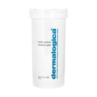 dermalogica hydro active mineral salts 284 g
