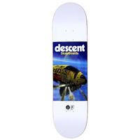 Descent X Chris Foss Skateboard Deck - 8.2\