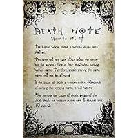 Death Note Rules Poster