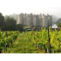 Deluxe Vineyard Tour and Tasting for Two