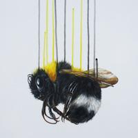 Death of the Alchemist By Louise McNaught