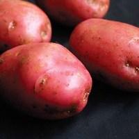 Desiree Seed Potatoes (1kg)