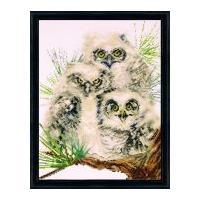 Design Works Counted Cross Stitch Kit Owl Trio