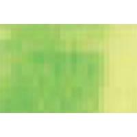 derwent aquatone watercolour stick may green 48