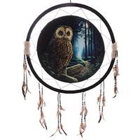 Decorative Fantasy Owl Dreamcatcher Large