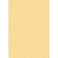 Decadry Letterhead/ 95gsm Presentation Paper - Gold (Pack of 100)