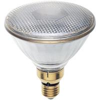 Deltech 7.5W LED PAR38