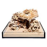 dead reef rock set 300 litre set 13 natural rocks approx 16 kg