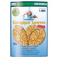 Dennerle Catappa Leaves - 10 pieces