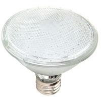 Deltech 7.5W LED PAR38