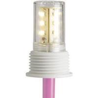 Desk lamp LED Built-in LED Brilliant Princess White, Rose