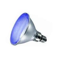 Deltech 120 LED PAR38 Lamp - Blue