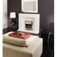 delius inset electric fire from dimplex