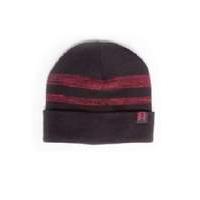 Destiny - Beanie with Hunter logo