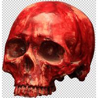 decorative bloody resin skull