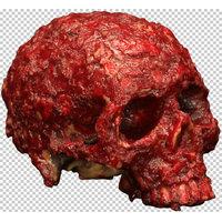 Decorative Bloody Scab Resin Skull