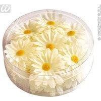 Decorative Daisy Flowers Box 20 Accessory For Tropical Hawiian Fancy Dress