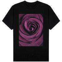 Deep Purple Rose