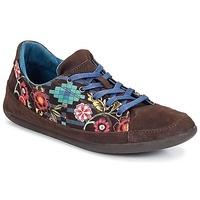 Desigual HAPPY women\'s Shoes (Trainers) in brown