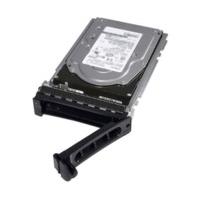 Dell Hot Plug SATA 1TB (400-17954)