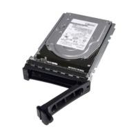 Dell SAS 300GB (400-19600)