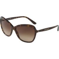 D&G DG4297 502/13 (havana/brown gradient)