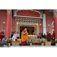 Dharamshala Tibetan Heritage and Nature Day Tour