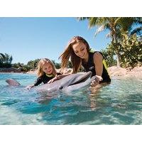 Discovery Cove Tickets