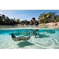 Discovery Cove Package