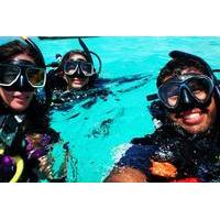 Discover Scuba Diving in San Juan