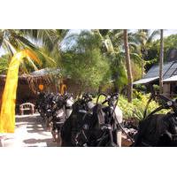 Discover Scuba Diving from Koh Samui