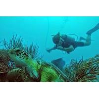 Discover Scuba Diving in Fajardo