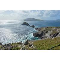 Dingle and Blasket Visitor Center Tour from Killarney