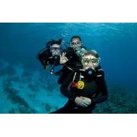 Discover Scuba Diving in Simpson Bay