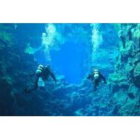 Diving in Silfra Fissure - Day Trip to Thingvellir National Park from Reykjavik