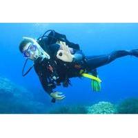 Discover Scuba Diving Tour with Lunch in Cozumel