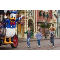 Disneyland Resort Paris with Transfer from Central Paris