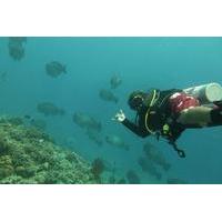 Discover Scuba Diving Gili Islands