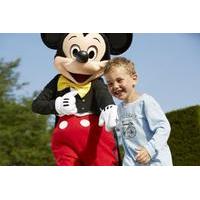 Disneyland Paris Ticket