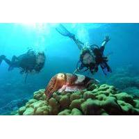 Diving At Galleon and Chimney From Marmaris