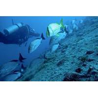 Diving at Barra Beach in Deep Waters