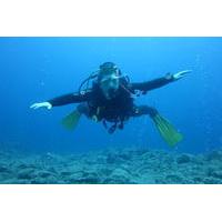discover scuba diving playa de las americas