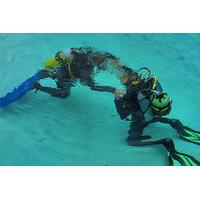 Discover Scuba Diving in Playa del Carmen