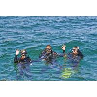 Discover Scuba Diving in Albufeira