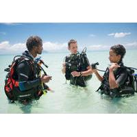 Dive Courses in the Seychelles
